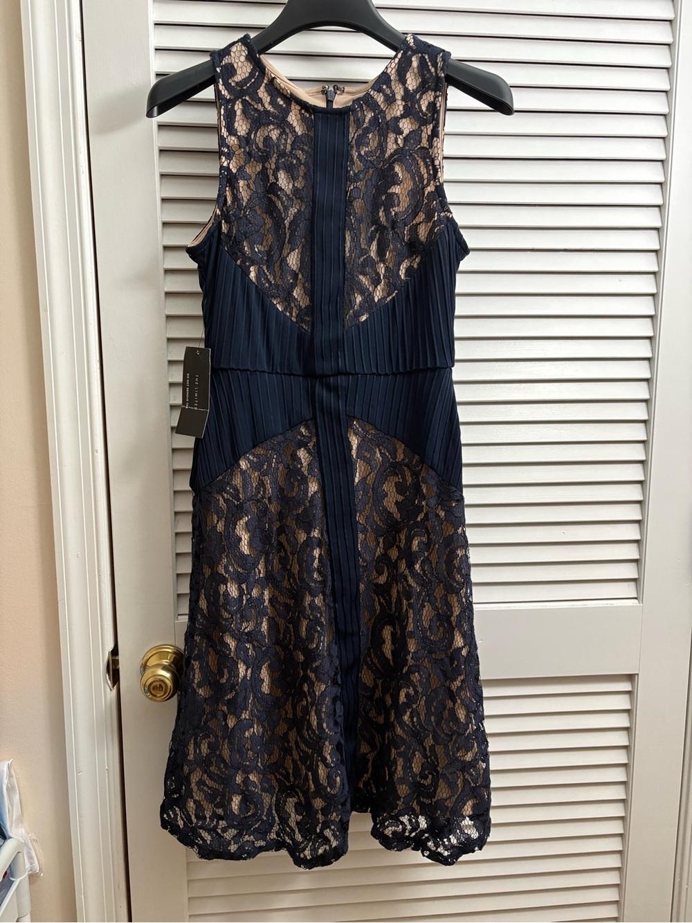 The Limited Navy and Nude Lace A-Line Mini Dress